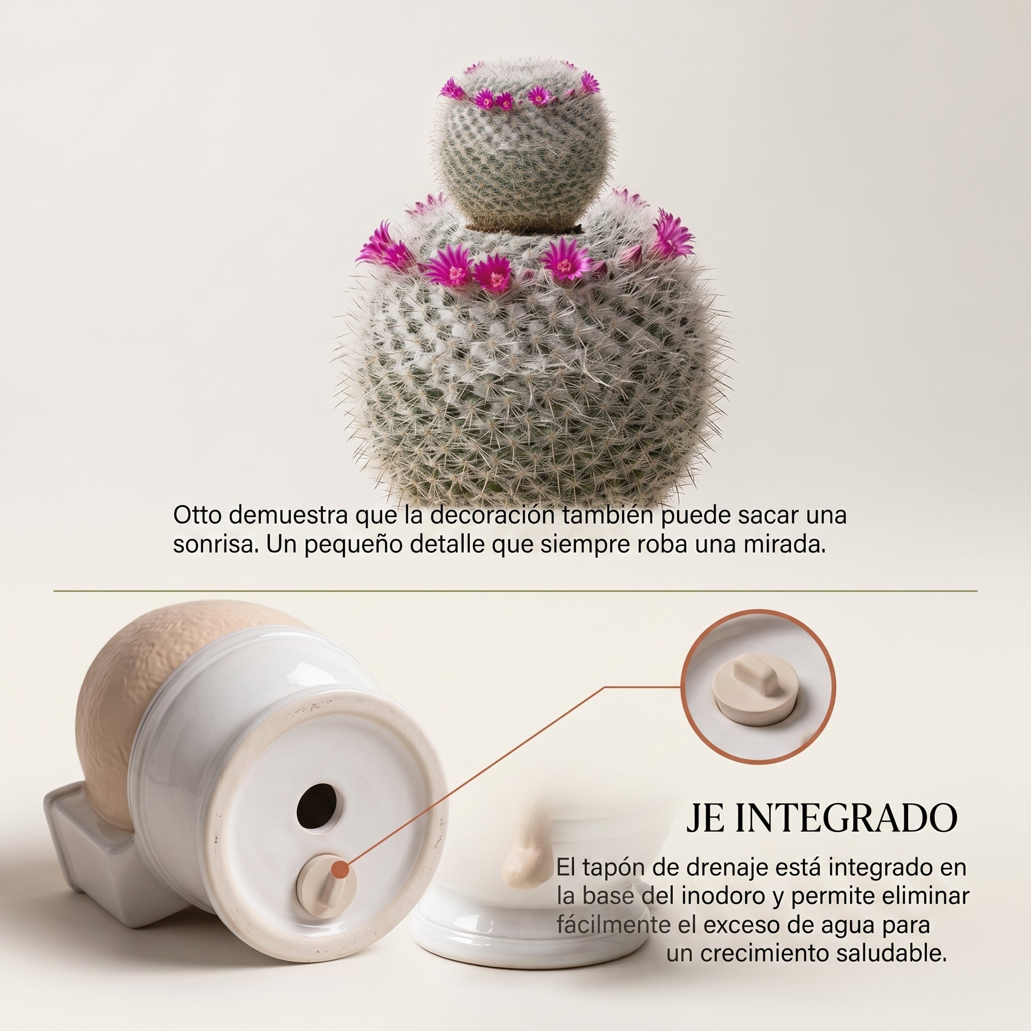 Otto🌿 | La naturaleza también tiene sentido del humor.