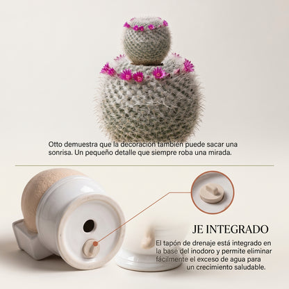 Otto🌿 | La naturaleza también tiene sentido del humor.