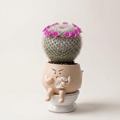 Otto🌿 | La naturaleza también tiene sentido del humor.