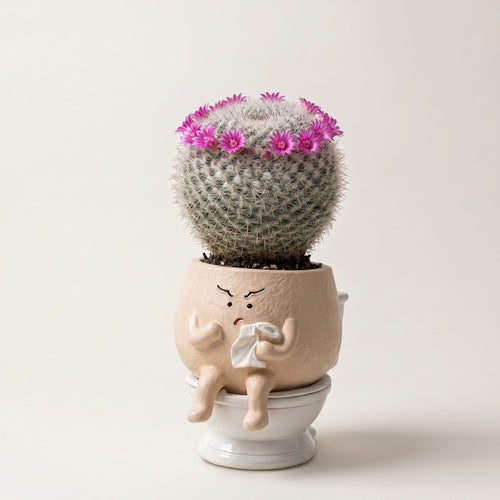 Otto🌿 | La naturaleza también tiene sentido del humor.