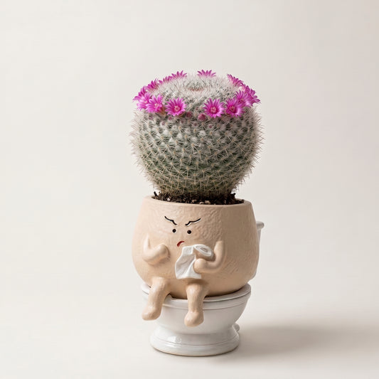 Otto🌿 | La naturaleza también tiene sentido del humor.