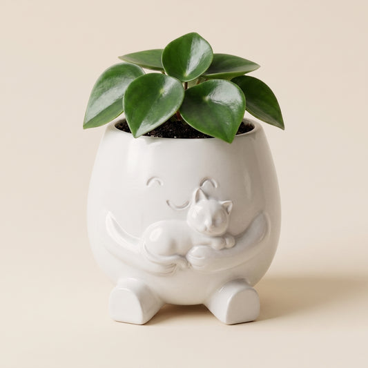 Lumi🌿 | El amor florece en los pequeños detalles.