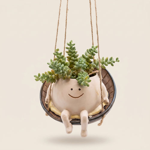 Noah 🌿 | Todo florece mejor cuando se siente en casa