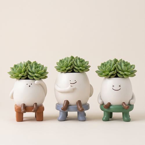 Los Hermanos Milo 🌿| Tres personalidades. Un mismo corazón de arcilla.